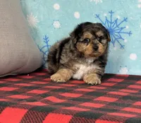 processed/a7359d70-41cc-4889-a8e2-96dd4e8ea138/listing/e1021403-1c51-47ea-b246-9b20583824d6/09f13342-9906-4f2a-b7fe-e12a93bd8e22