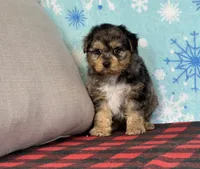 processed/a7359d70-41cc-4889-a8e2-96dd4e8ea138/listing/e1021403-1c51-47ea-b246-9b20583824d6/0ff4fa27-5c39-478a-a381-94e2fdddb32a