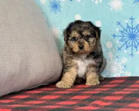 processed/a7359d70-41cc-4889-a8e2-96dd4e8ea138/listing/e1021403-1c51-47ea-b246-9b20583824d6/1b414483-a9c4-46a7-ae05-b6f53bfdffa8