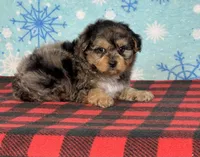 processed/a7359d70-41cc-4889-a8e2-96dd4e8ea138/listing/e1021403-1c51-47ea-b246-9b20583824d6/3face00f-2cbe-46bf-ac08-6d6598e66928