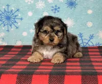 processed/a7359d70-41cc-4889-a8e2-96dd4e8ea138/listing/e1021403-1c51-47ea-b246-9b20583824d6/a711405f-8719-44bd-b484-ee7a8c5141d3