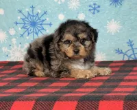 processed/a7359d70-41cc-4889-a8e2-96dd4e8ea138/listing/e1021403-1c51-47ea-b246-9b20583824d6/d43eff45-f877-4855-857e-f4d2981437d9