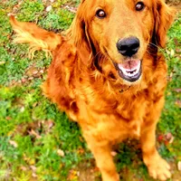 processed/a73d2e7b-f8a9-404a-ba32-ada0af898125/facility/1404de7b-d3cc-4c7b-b2d8-51abb1e00ca7