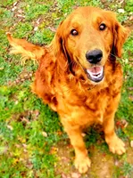 processed/a73d2e7b-f8a9-404a-ba32-ada0af898125/facility/1404de7b-d3cc-4c7b-b2d8-51abb1e00ca7