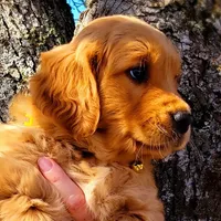 processed/a73d2e7b-f8a9-404a-ba32-ada0af898125/facility/24e1b2f7-714f-44a6-ae5a-d8e1325b8790