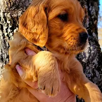 processed/a73d2e7b-f8a9-404a-ba32-ada0af898125/facility/393b186f-3106-4859-8a29-0854fe8f43b1