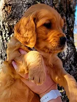 processed/a73d2e7b-f8a9-404a-ba32-ada0af898125/facility/393b186f-3106-4859-8a29-0854fe8f43b1