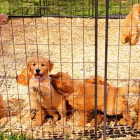 processed/a73d2e7b-f8a9-404a-ba32-ada0af898125/facility/6d201c05-3296-4b2e-a3a9-6a63b37b3772