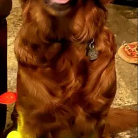 processed/a73d2e7b-f8a9-404a-ba32-ada0af898125/facility/92403d93-7b8d-4059-9f2f-d52a348f17b2