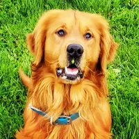 processed/a73d2e7b-f8a9-404a-ba32-ada0af898125/facility/9b1248ea-d496-4bed-af42-311c35c94e06