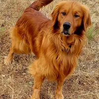 processed/a73d2e7b-f8a9-404a-ba32-ada0af898125/facility/b8d0334e-734c-4f88-8ef3-d37375be3304