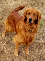 processed/a73d2e7b-f8a9-404a-ba32-ada0af898125/facility/b8d0334e-734c-4f88-8ef3-d37375be3304