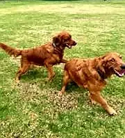 processed/a73d2e7b-f8a9-404a-ba32-ada0af898125/facility/c6c19f71-5a7e-4b58-9bab-a2dd79eb7da9