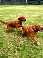 processed/a73d2e7b-f8a9-404a-ba32-ada0af898125/facility/c6c19f71-5a7e-4b58-9bab-a2dd79eb7da9