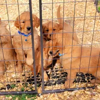 processed/a73d2e7b-f8a9-404a-ba32-ada0af898125/facility/dbe36496-f155-4220-ac0b-4130ab0db99c