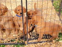 processed/a73d2e7b-f8a9-404a-ba32-ada0af898125/facility/dbe36496-f155-4220-ac0b-4130ab0db99c