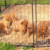 processed/a73d2e7b-f8a9-404a-ba32-ada0af898125/facility/e2ec32fa-43ac-4e42-9f88-ef57b90b9d05