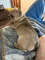 processed/a74f9676-2f60-4d7e-84ac-7d8a2c9027ef/listing/48bf647a-687d-4e8c-b4fc-09fcce3b5a2e/2c4d1831-cc77-480b-9c2f-dcaf7abbb74b