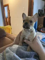 processed/a74f9676-2f60-4d7e-84ac-7d8a2c9027ef/listing/48bf647a-687d-4e8c-b4fc-09fcce3b5a2e/90d82f01-b490-4556-abf5-6355f84311af