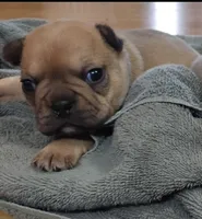 processed/a74f9676-2f60-4d7e-84ac-7d8a2c9027ef/listing/48bf647a-687d-4e8c-b4fc-09fcce3b5a2e/f9b9ec83-f77c-43ac-b7b4-54ba665abb69