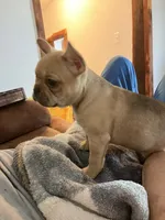 processed/a74f9676-2f60-4d7e-84ac-7d8a2c9027ef/listing/48bf647a-687d-4e8c-b4fc-09fcce3b5a2e/ff33c057-aef4-46c9-8cbd-92e9c2e33535