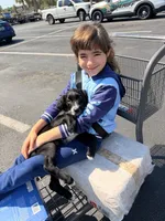 Paisley , a female Golden Retriever and Labrador Retriever for sale in Palm Coast, FL – 6 of 10