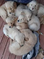 processed/a75a30d2-b5aa-4e55-bbcb-a0c8b3e7fb73/facility/08844b2c-0d4d-4081-a383-e1a0a8815c83