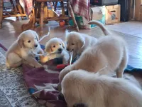 processed/a75a30d2-b5aa-4e55-bbcb-a0c8b3e7fb73/facility/0b8525e9-33cb-435f-9b4a-6d4f49c8ca52