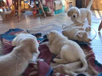 processed/a75a30d2-b5aa-4e55-bbcb-a0c8b3e7fb73/facility/1776f4b0-1170-4fa7-9e9c-08a423e9a028