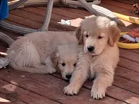 processed/a75a30d2-b5aa-4e55-bbcb-a0c8b3e7fb73/facility/62a222dc-cfed-4d24-b115-6b01a5f61430