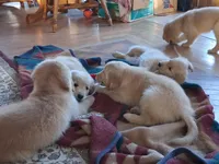 processed/a75a30d2-b5aa-4e55-bbcb-a0c8b3e7fb73/facility/740d778a-b9e7-494c-86ed-95f925ba04a3