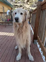 processed/a75a30d2-b5aa-4e55-bbcb-a0c8b3e7fb73/facility/893b8e75-e556-45f2-92d2-0af8da3e177e