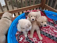 processed/a75a30d2-b5aa-4e55-bbcb-a0c8b3e7fb73/facility/994c449c-dbea-42c2-ad1c-8c6cf3de3844