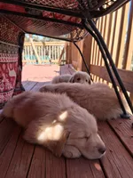 processed/a75a30d2-b5aa-4e55-bbcb-a0c8b3e7fb73/facility/f3905e80-63bd-4747-96cf-998173a41075