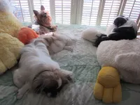 processed/a76a3003-e5f1-485e-b670-f64a739a21f0/facility/155c45da-4637-4073-8c9e-f6e8c4d035e0