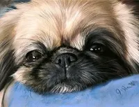 processed/a76a3003-e5f1-485e-b670-f64a739a21f0/facility/3049203b-0d8a-4374-9a4d-4d51cc269f72