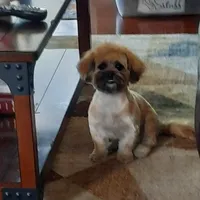 processed/a76a3003-e5f1-485e-b670-f64a739a21f0/facility/45537c32-7a88-4dda-8768-7a7156ab6071