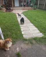 processed/a76a3003-e5f1-485e-b670-f64a739a21f0/facility/73818c79-8efb-4143-80d9-80a846e3beb2