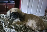 processed/a76a3003-e5f1-485e-b670-f64a739a21f0/facility/75e9cb46-fad2-47bb-aa20-b09606409da6