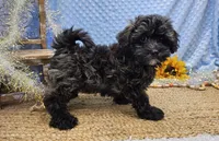 processed/a777fa12-ba0e-4dd4-a16e-fb190dd79ea1/listing/8635fad5-a83d-43ba-af46-30551eb6f8b2/6fa63365-158a-43b5-abfa-0c019a2b021e