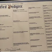 Full AKC Available, a female Cavalier King Charles Spaniel for sale in Elk Grove, CA – Photo 8 of 9