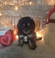 processed/a77ad8ce-a3b2-4e87-aa29-503a94af2b68/listing/f603ddb2-2a6f-43c6-96df-5cc5e6905dc4/3d21df2e-f949-4559-be96-d3ce17f0ab4e