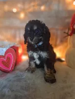 processed/a77ad8ce-a3b2-4e87-aa29-503a94af2b68/listing/f603ddb2-2a6f-43c6-96df-5cc5e6905dc4/595a2fd2-2a9f-4228-94ac-e6b532dc7dc5