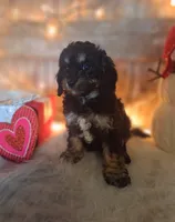 processed/a77ad8ce-a3b2-4e87-aa29-503a94af2b68/listing/f603ddb2-2a6f-43c6-96df-5cc5e6905dc4/5d9b2700-243d-47ce-bb47-4d2c442f1653