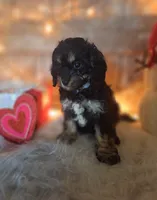 processed/a77ad8ce-a3b2-4e87-aa29-503a94af2b68/listing/f603ddb2-2a6f-43c6-96df-5cc5e6905dc4/7a0e43bd-eabe-4cec-9afa-3523e7b1a950