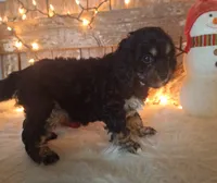 processed/a77ad8ce-a3b2-4e87-aa29-503a94af2b68/listing/f603ddb2-2a6f-43c6-96df-5cc5e6905dc4/d5e1b5bd-5865-47d6-9a23-00b75d4874f4