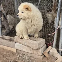 processed/a77f296a-108f-4f6d-9022-9746fa192b62/facility/93a2609b-cd3e-4fa4-b3da-addc39262387