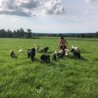 processed/a785401b-5dd3-470f-81ae-a4435096aa13/facility/939a08ed-312f-470e-9b73-03ff9ddec543