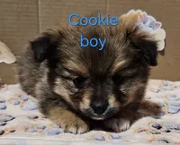 processed/a785401b-5dd3-470f-81ae-a4435096aa13/listing/23ad1ec0-c9c4-411f-a967-66db62bf1e54/1aa7e944-ea4a-4442-a774-171c2bae28bc