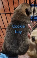 processed/a785401b-5dd3-470f-81ae-a4435096aa13/listing/23ad1ec0-c9c4-411f-a967-66db62bf1e54/1e9fbc7f-15a6-4bbf-8419-d9b97b37a6eb